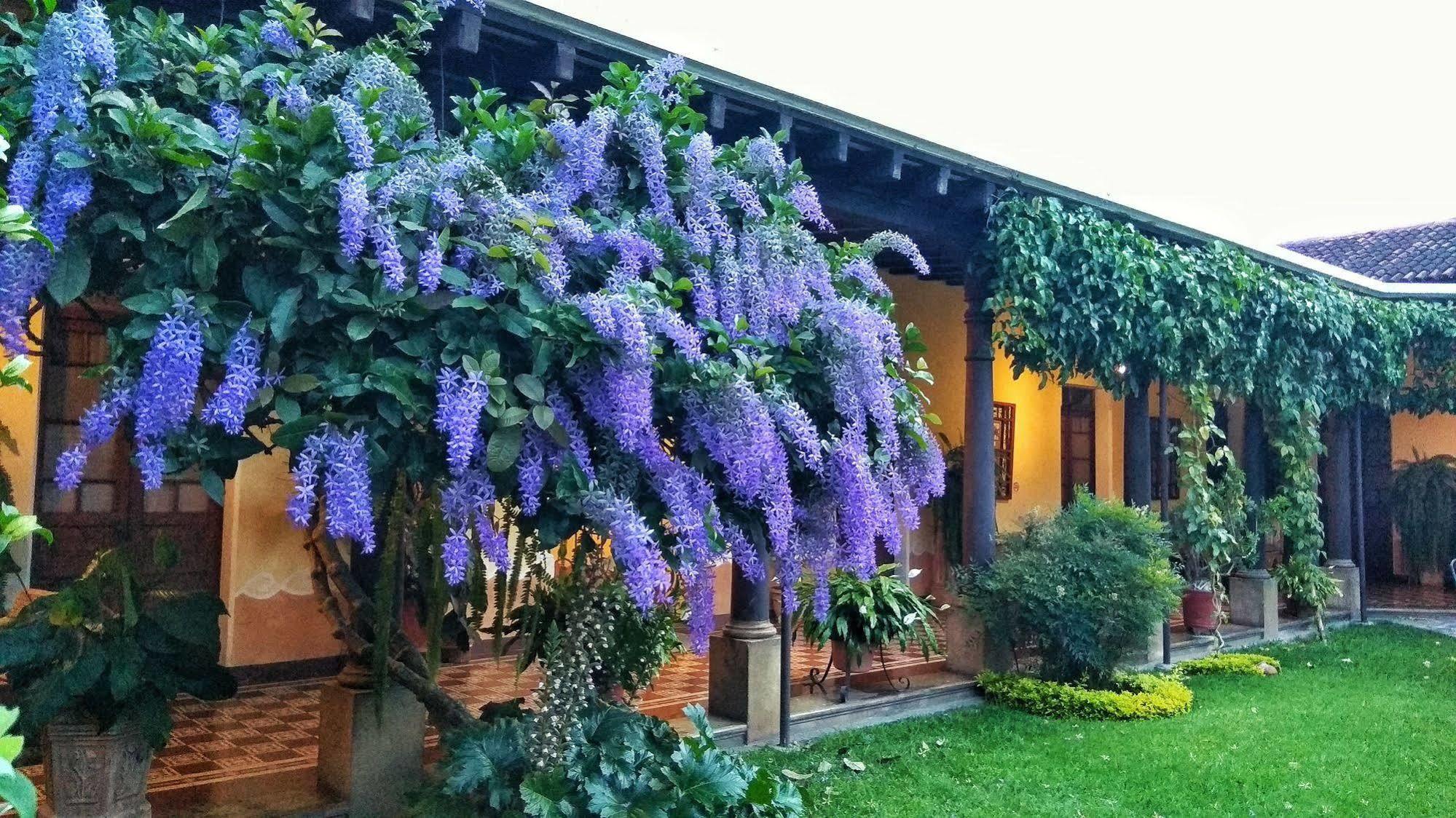 Hotel Aurora Antigua Екстериор снимка